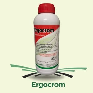 Ergocrom