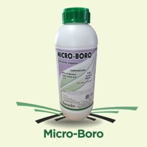 Micro Boro